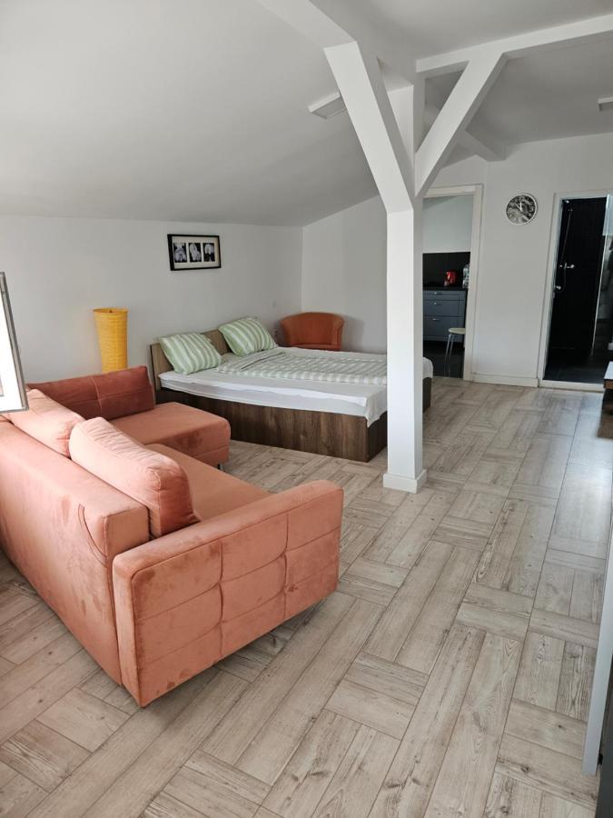 Studio D'Amalia Turda Luaran gambar